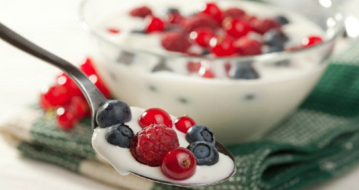 домашний йогурт из закваски живой баланс в пиале с ягодами