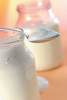 свежий йогурт из закваски живой баланс в банке и в ложке