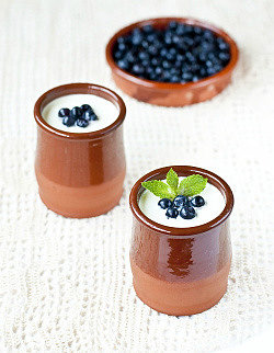 домашний йогурт в глиняных горшочках из закваски живой баланс с ягодами черники и листиками мяты